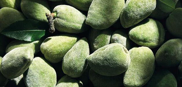 Almond